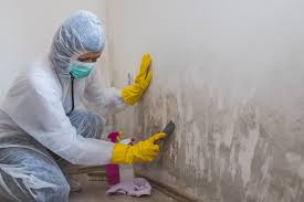 Best Attic Mold Removal  in Tumter, WA